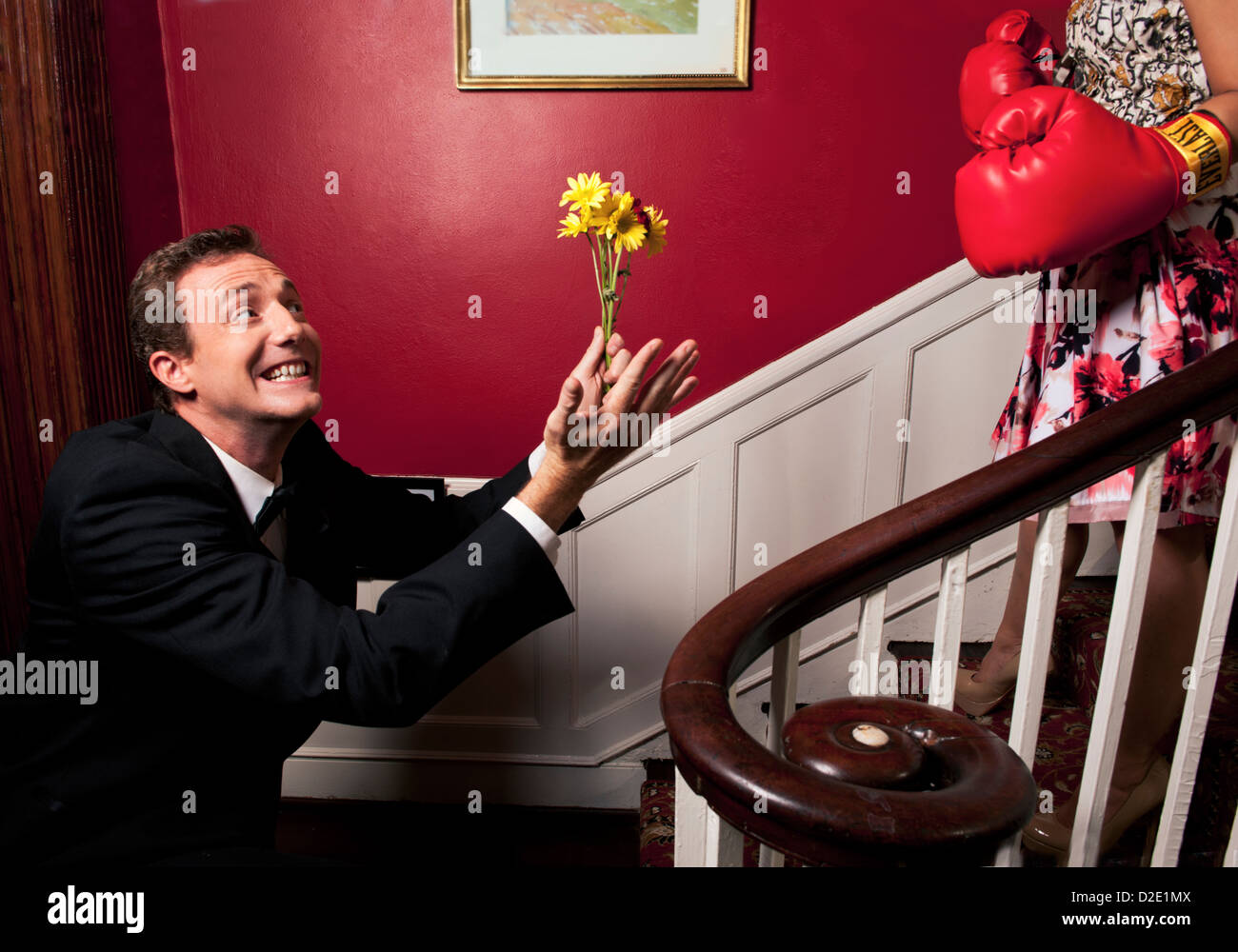 Man bringing home flowers to a woman wearing boxing gloves. 'Please forgive me' Stock Photo