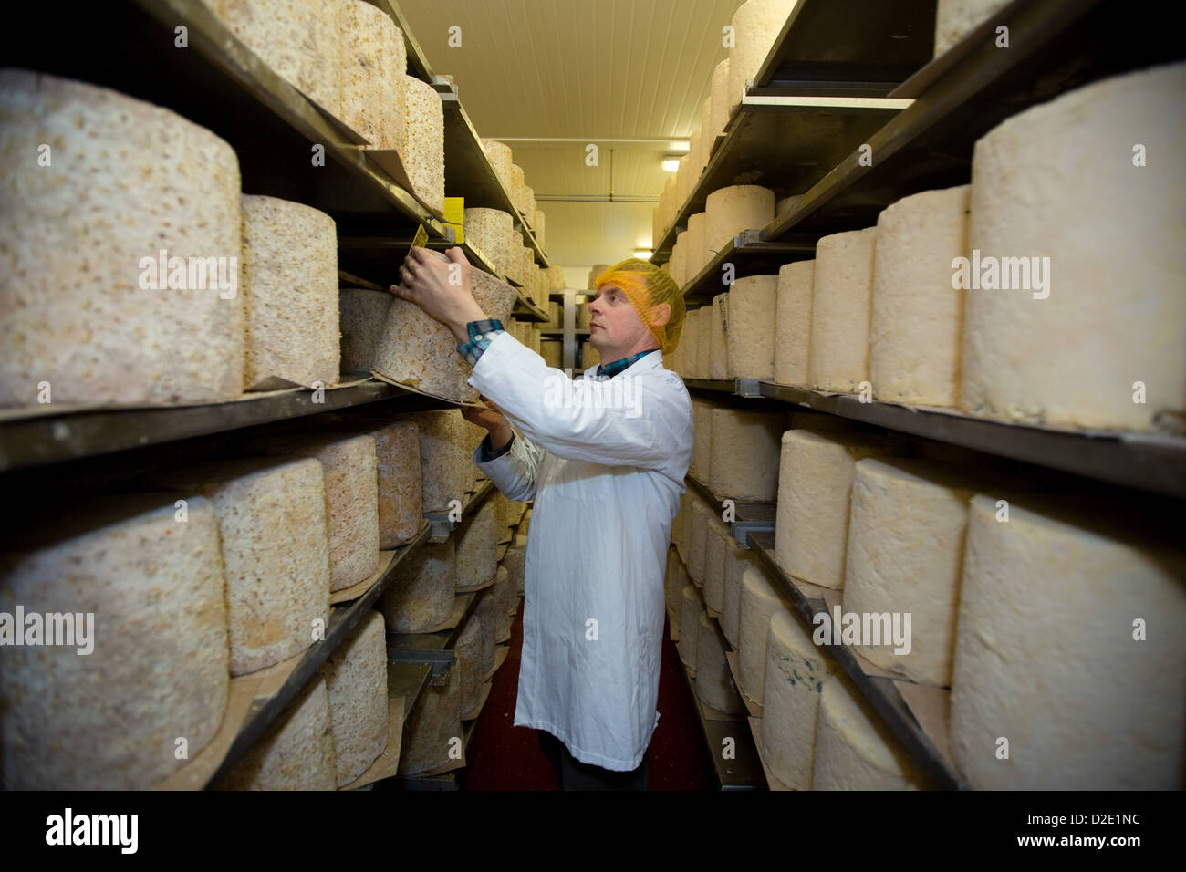 Stilton cheese makers Tuxford & Tebbutt in Melton Mowbray