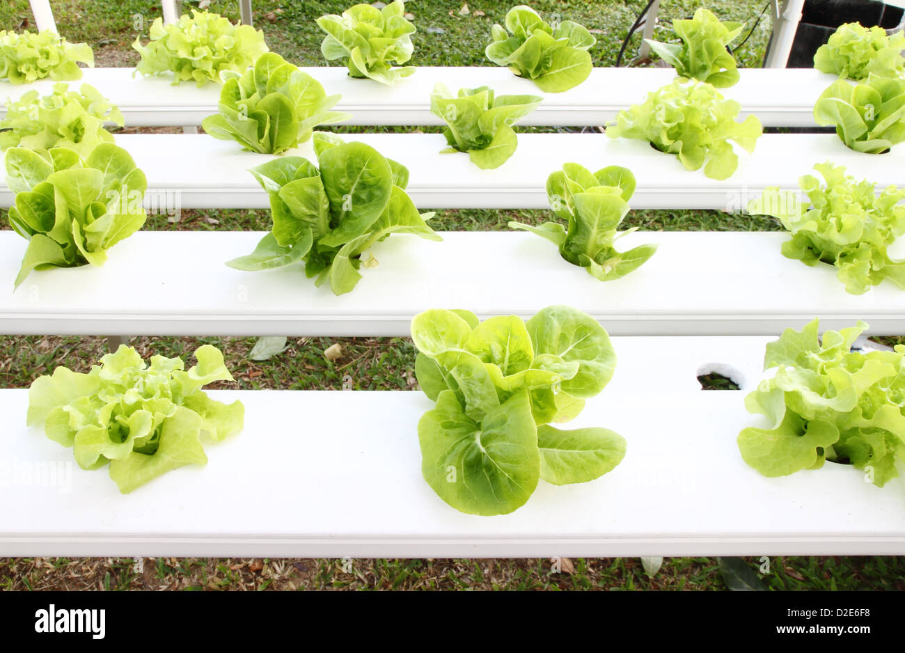 Hydroponic System Stock Photos &amp; Hydroponic System Stock ...