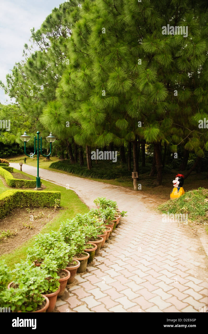 Potted plants along a walkway in a garden, Mussoorie, Dehradun District