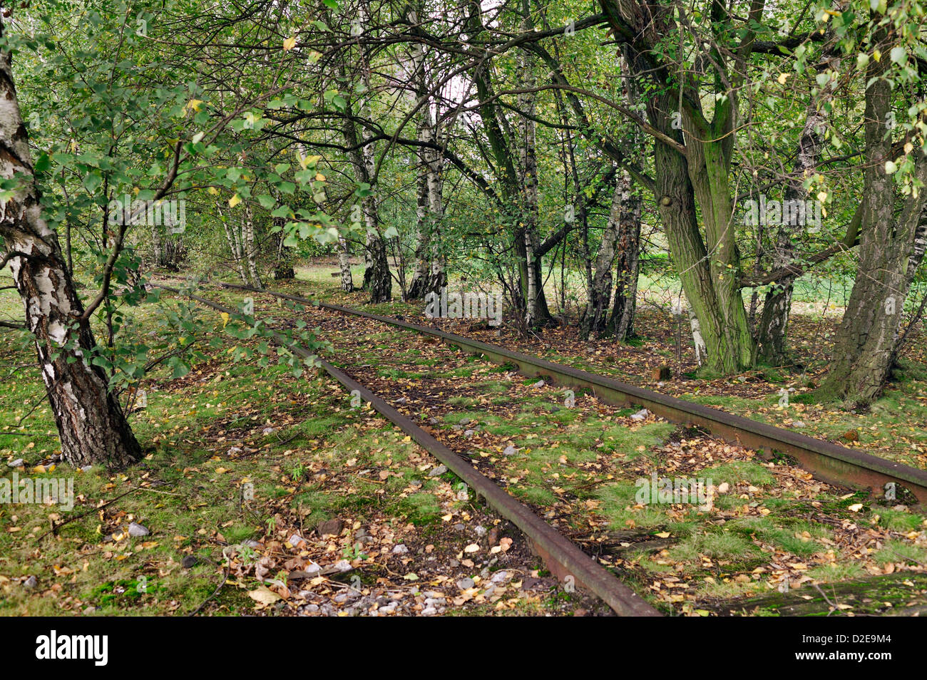 Abandoned railroad overgrown weeds hi-res stock photography and images ...