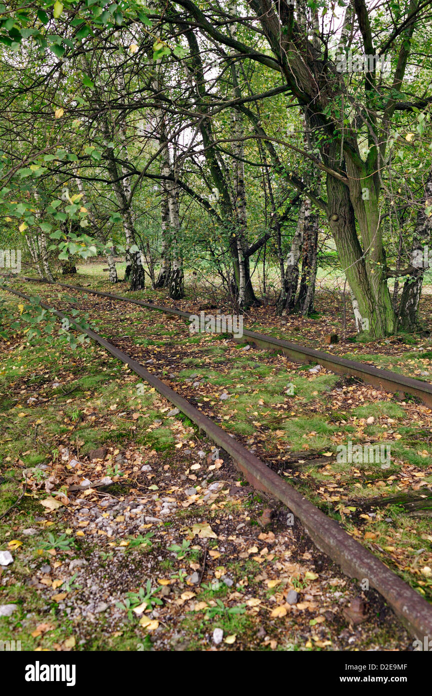 Abandoned railroad overgrown weeds hi-res stock photography and images ...