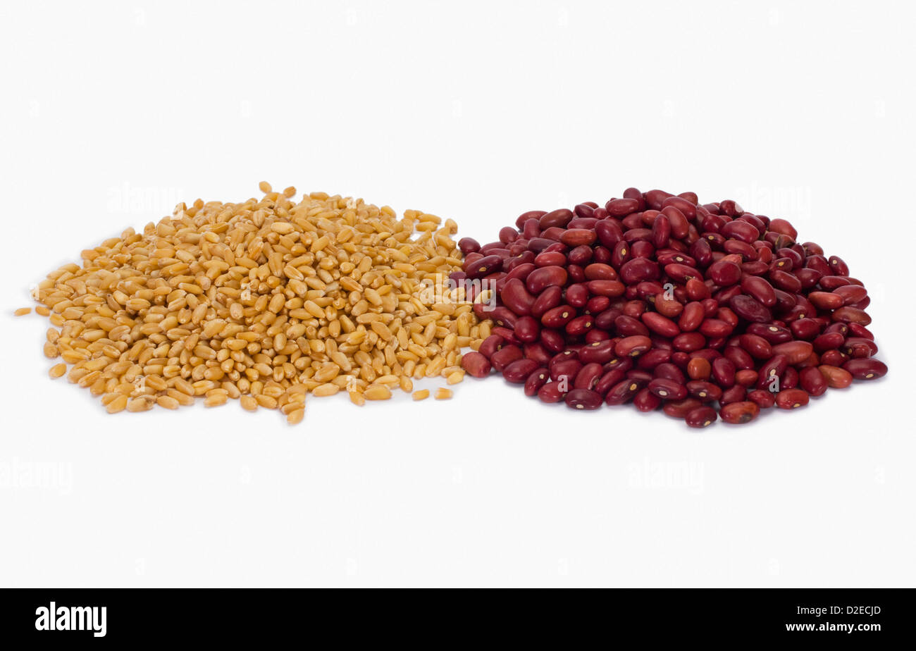 Closeup of wheat and kidney beans Stock Photo Alamy