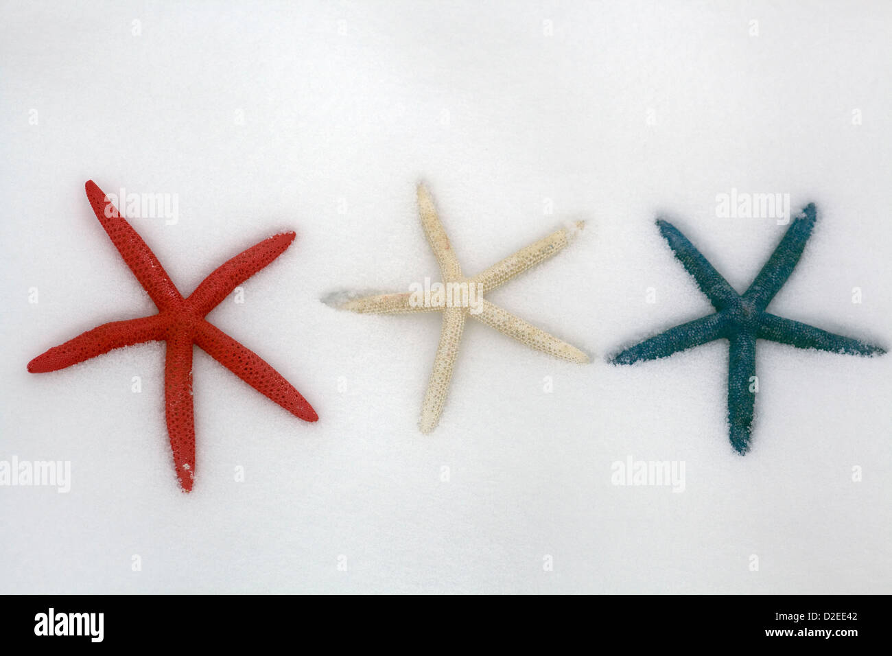 starfish 1 low on feet