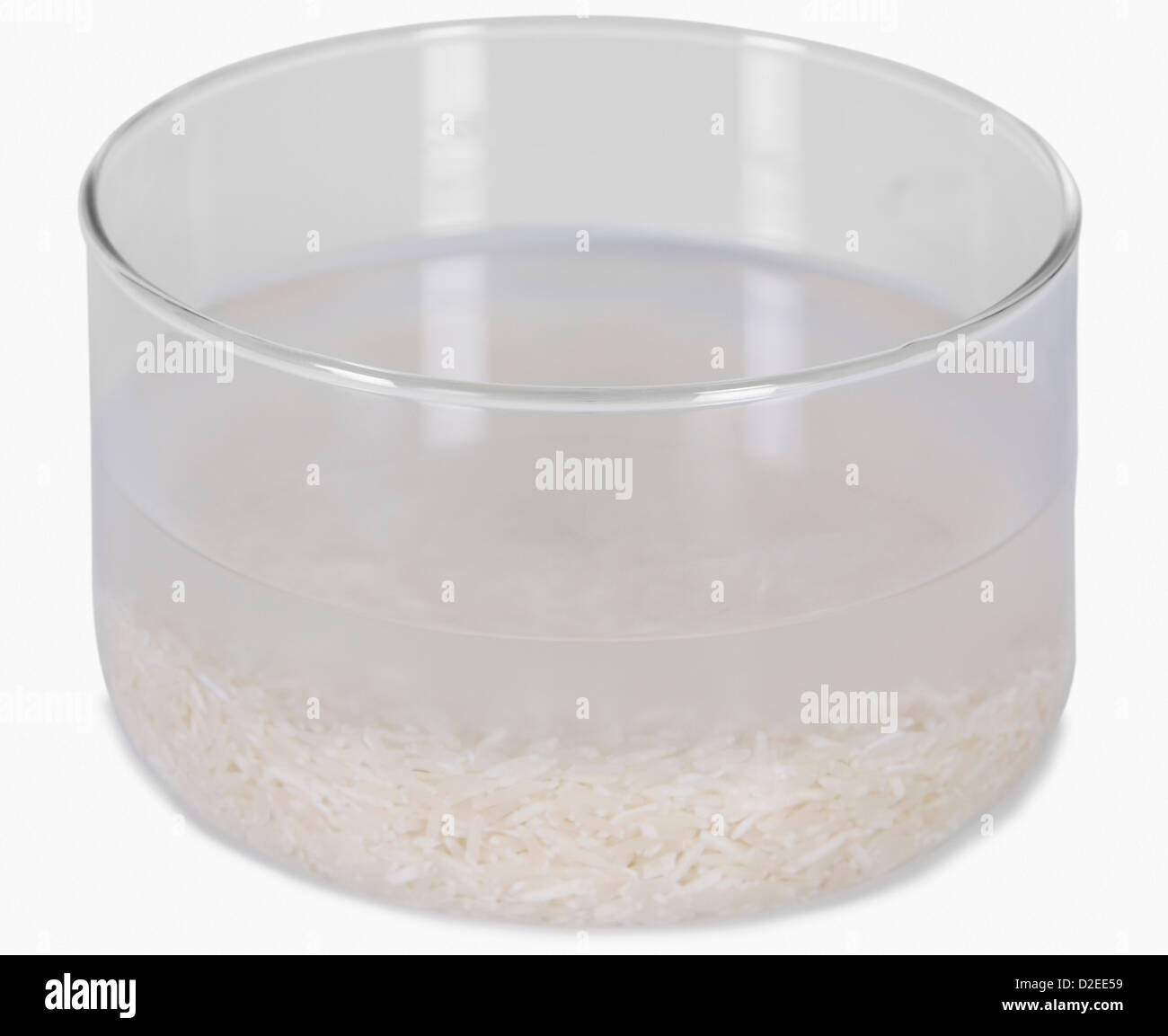 Rice experiment hi-res stock photography and images - Alamy