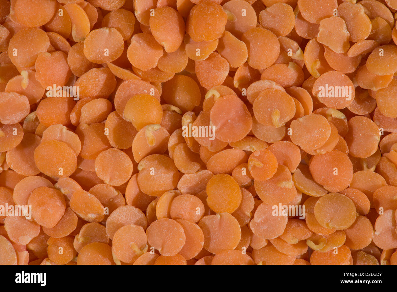 Close up of split lentils. Stock Photo