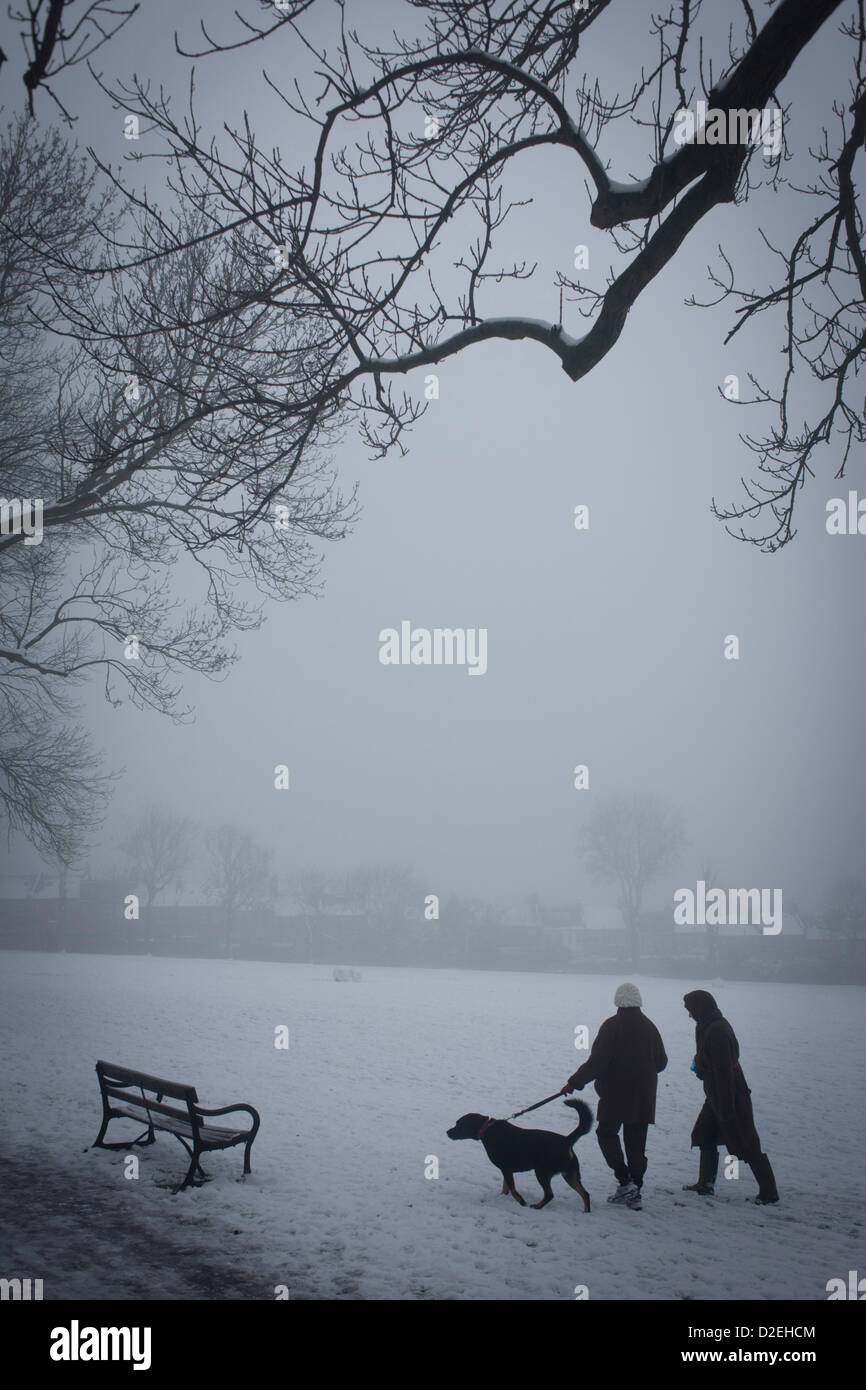 Dog walkers brave freezing temperatures in their local London park