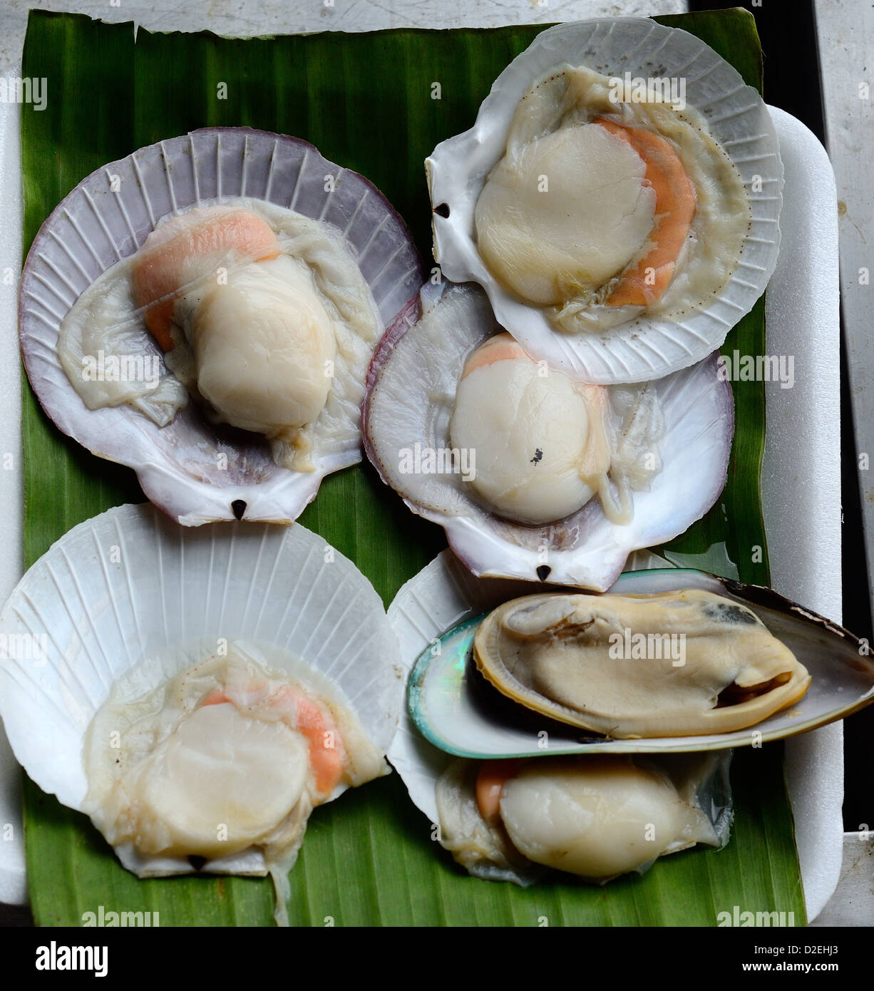broiled mix shells ready to eat at Thai native market Stock Photo