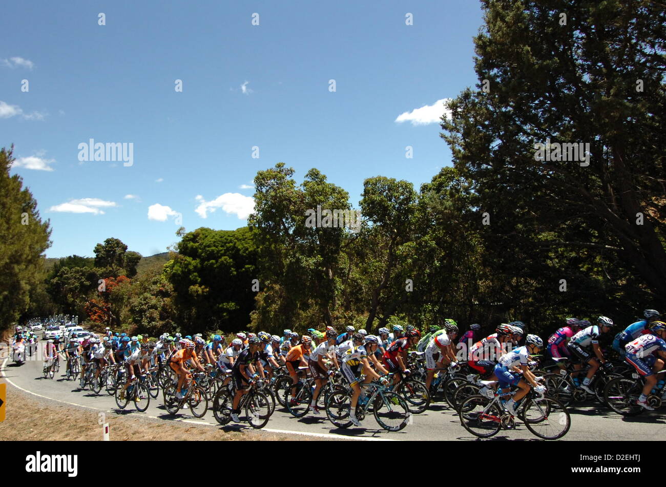 Australia. 22nd Jan, 2013. The peleton makes its way to on the 135 km route from Prospect to Lobethal. Stock Photo