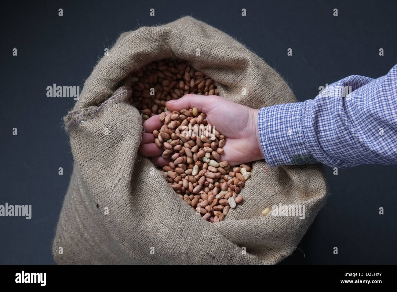A man's hand holds peanuts in a hessian sack Stock Photo