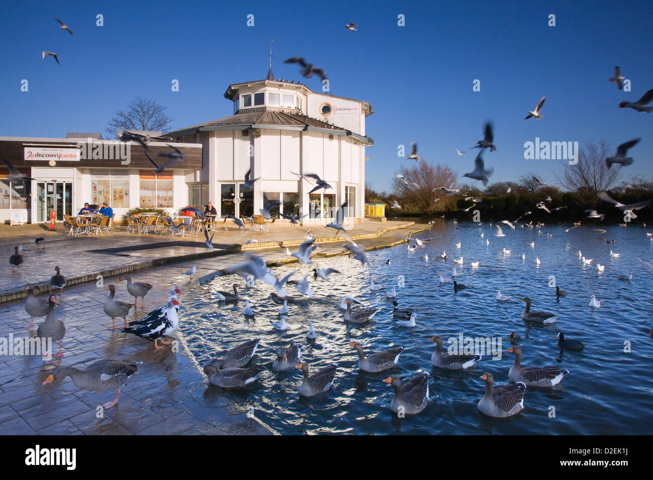 Cleethorpes, North East Lincolnshire, England, UK. 9th January 2013. The Discovery Centre and Boating Lake Stock Photo