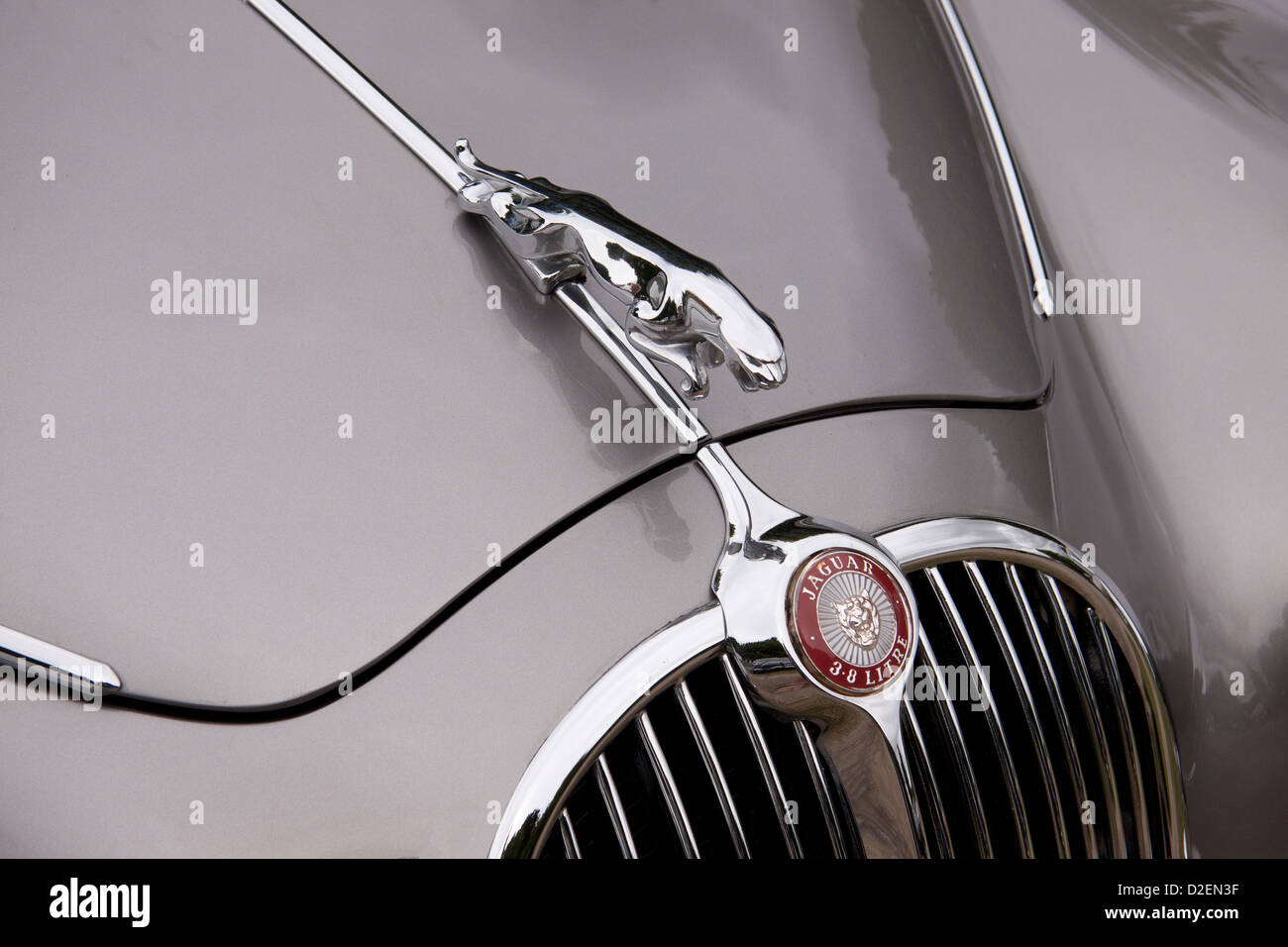 Jaguar car emblem on the bonnet of a silver Classic Jaguar car at a classic car show in Yorkshire Stock Photo