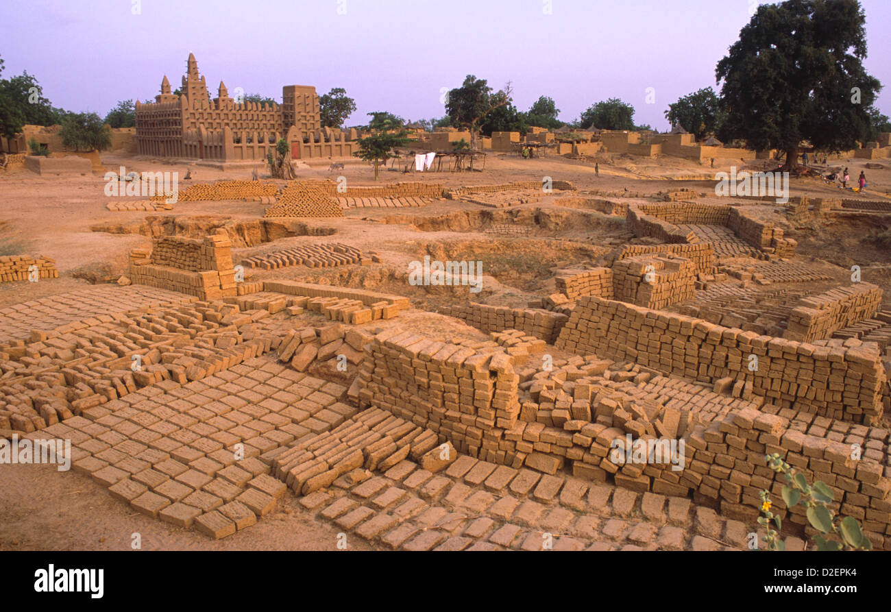 The village of Birga Dogon on the Dogon Plain in Mali, West Africa. Showing mud bricks drying in the sun used for construction. Stock Photo