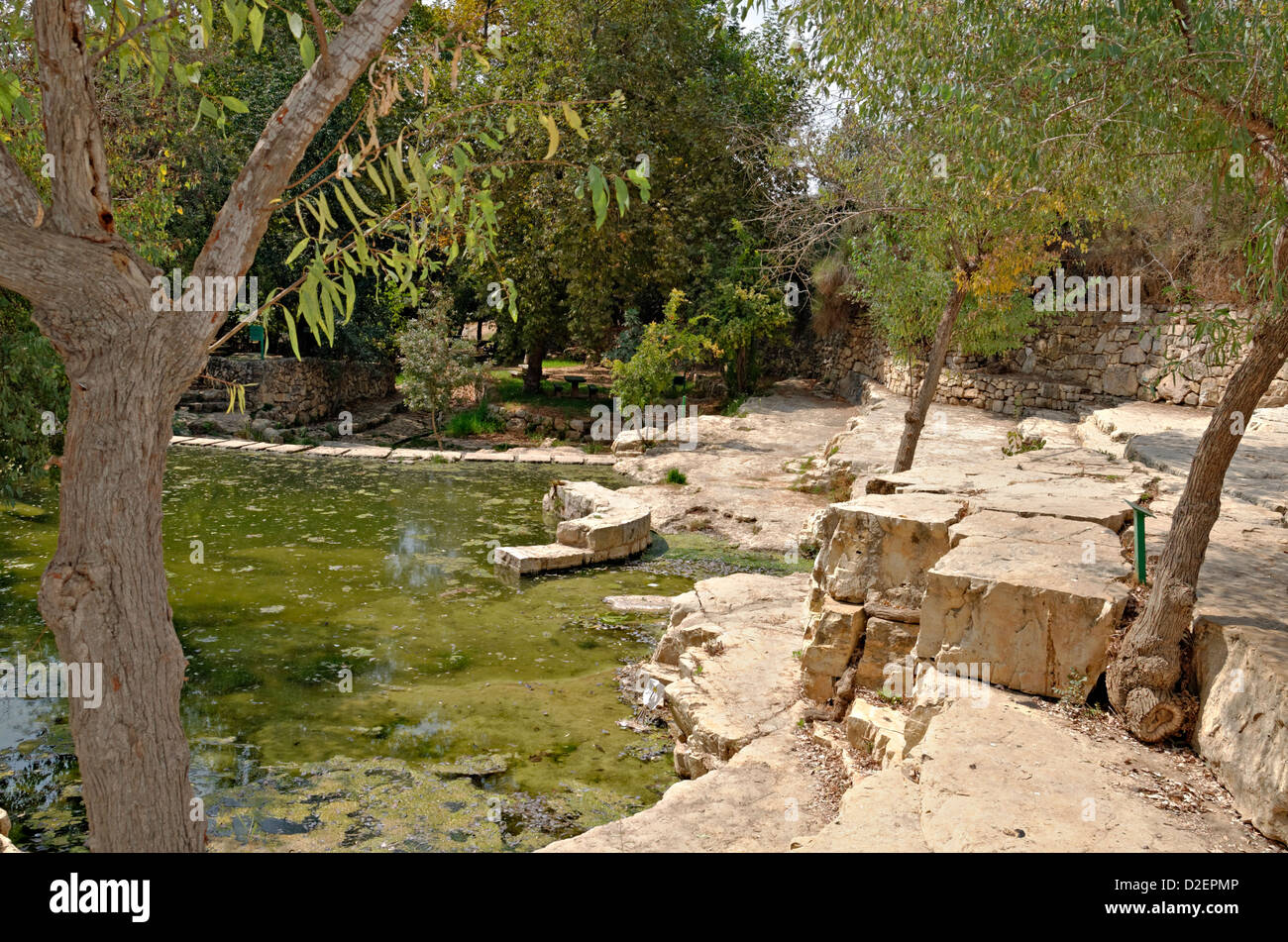 Israel Jerusalem Mountains Ein Hemed National Park (AKA Aqua Bella