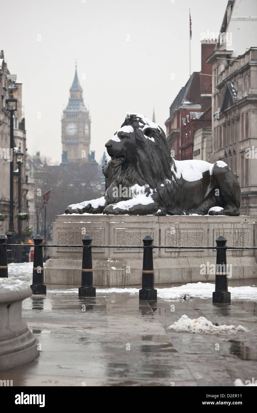 Lion statue in Trafalgar Square on a snowy, winter morning with the Big Ben in the background, London, England, UK Stock Photo
