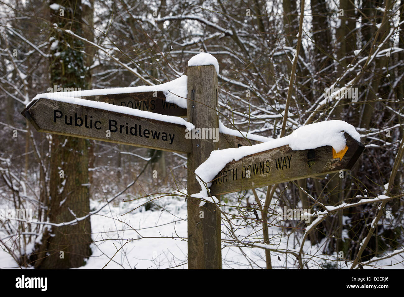 North Downs Way signpost in Ashcombe Wood, near Dorking, Surrey, England. Stock Photo