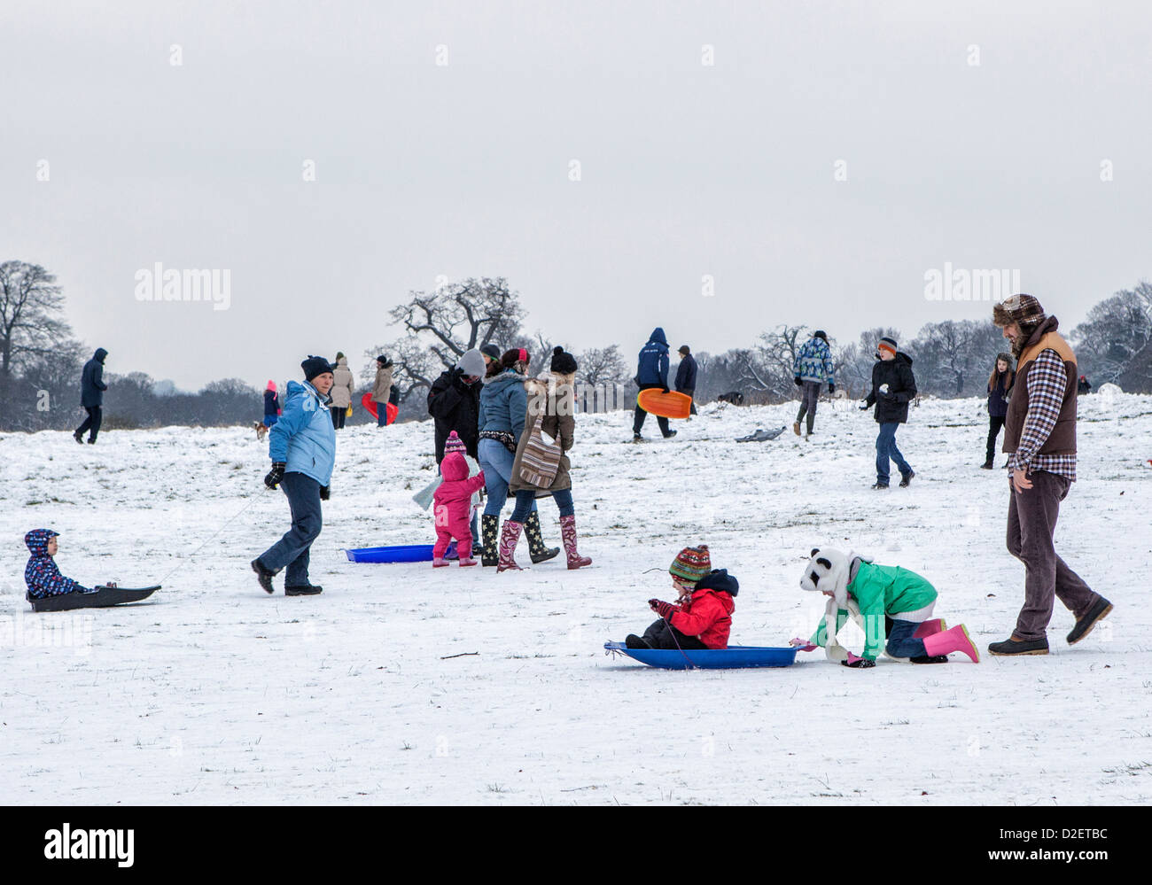 Families with pets and sleds enjoying the snow in snowy Richmond Park