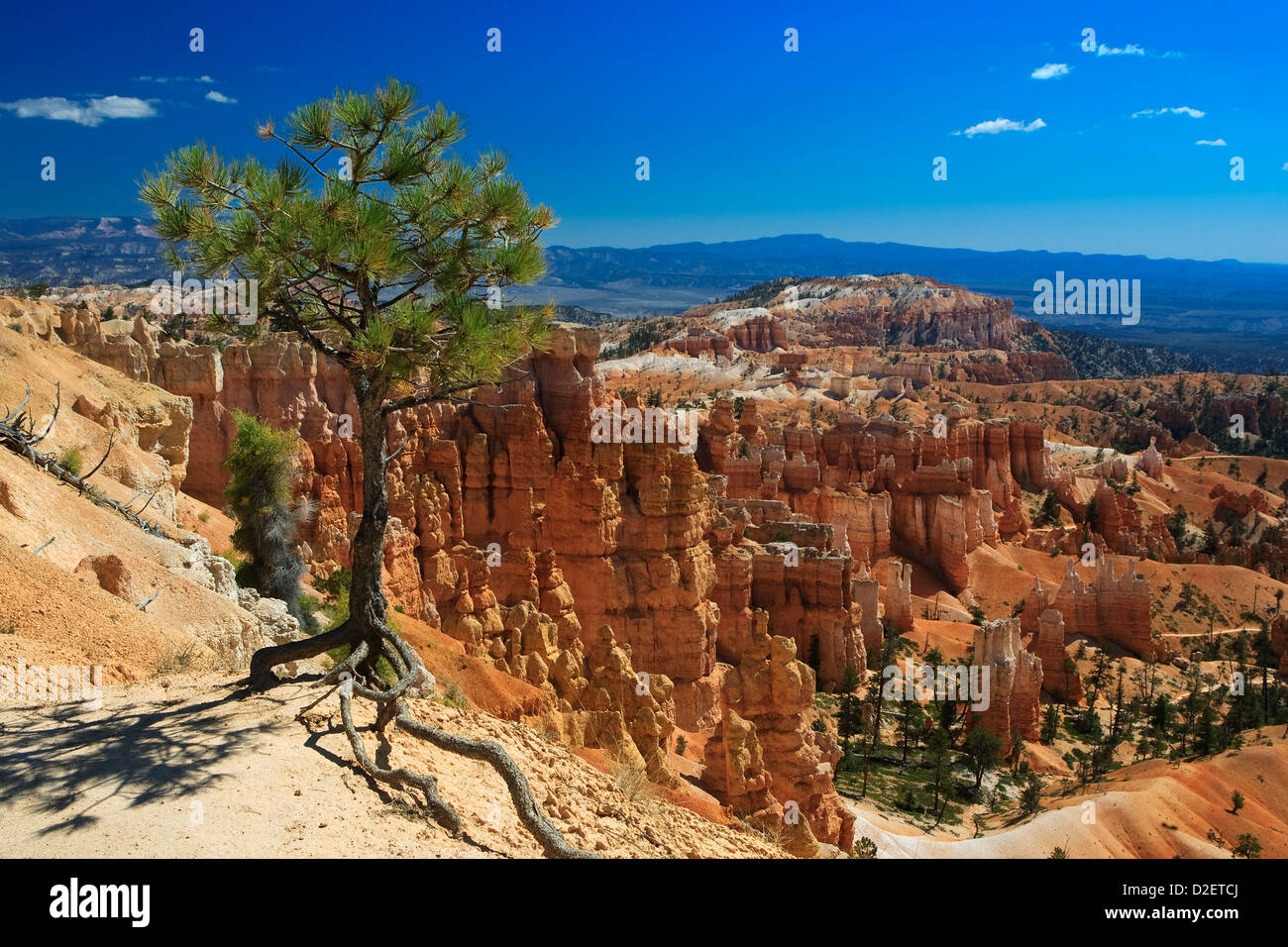 Bryce Canyon National Park, Utah, USA Stock Photo Alamy