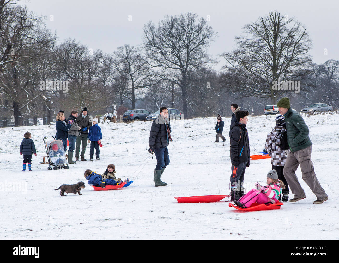 Kids and dog sledding hires stock photography and images Alamy