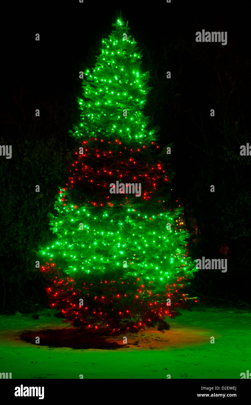 A beautiful outdoor Christmas tree is lit up on a snowy winter night, casting green light on the snow at its base. Stock Photo