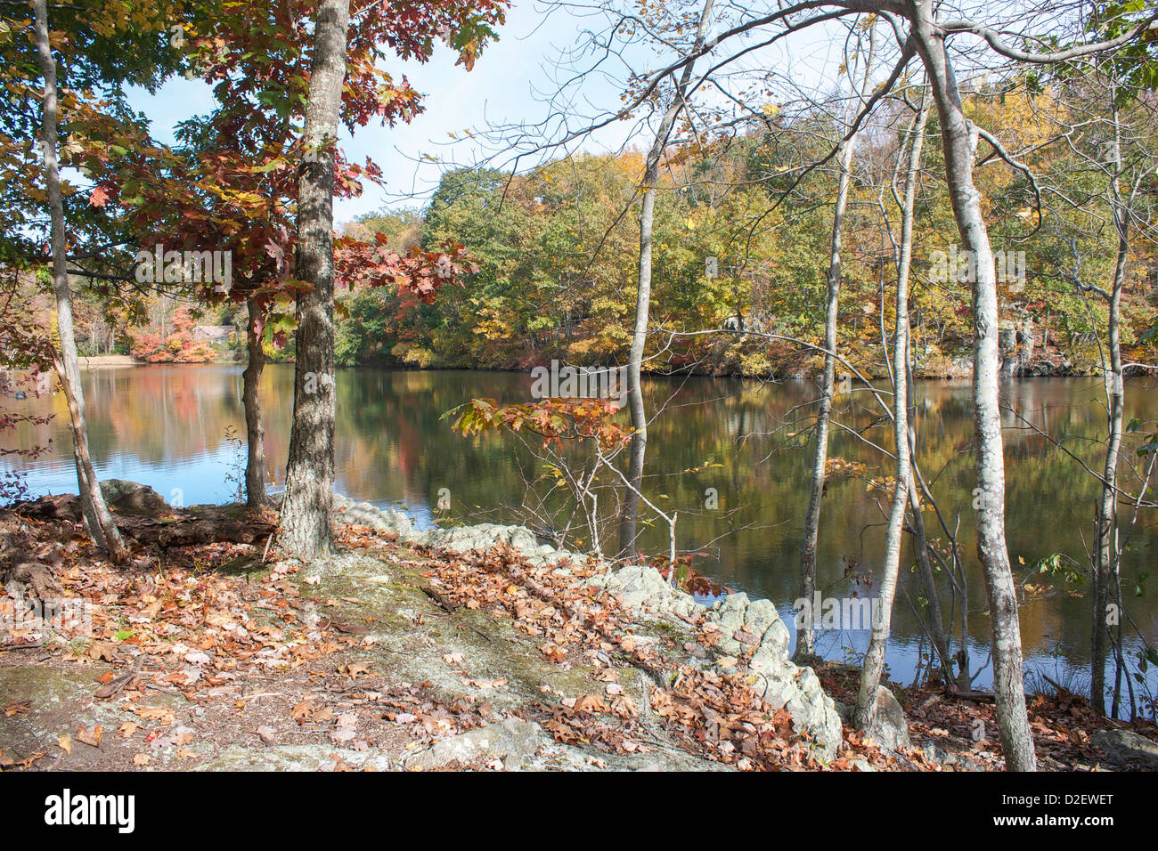 Reflections of colorful foliage on lake water, autumn Stock Photo - Alamy