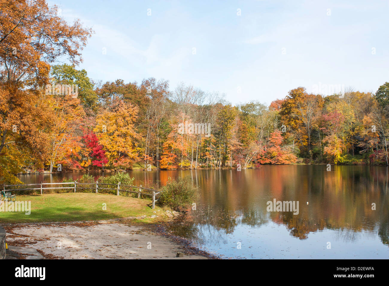 changing fall foliage reflected on water in lake Stock Photo - Alamy