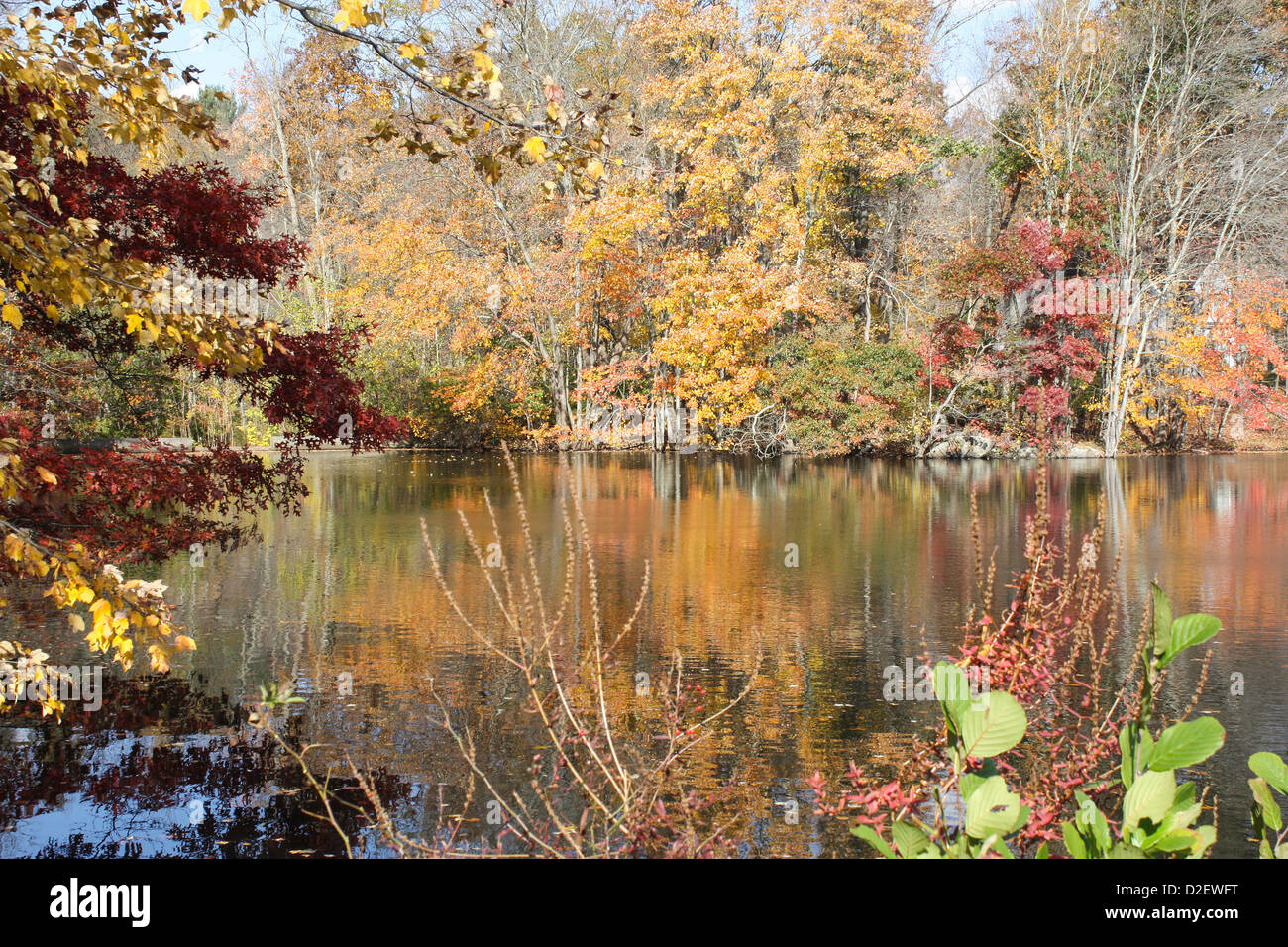 Reflections of colorful foliage on lake water, autumn Stock Photo - Alamy