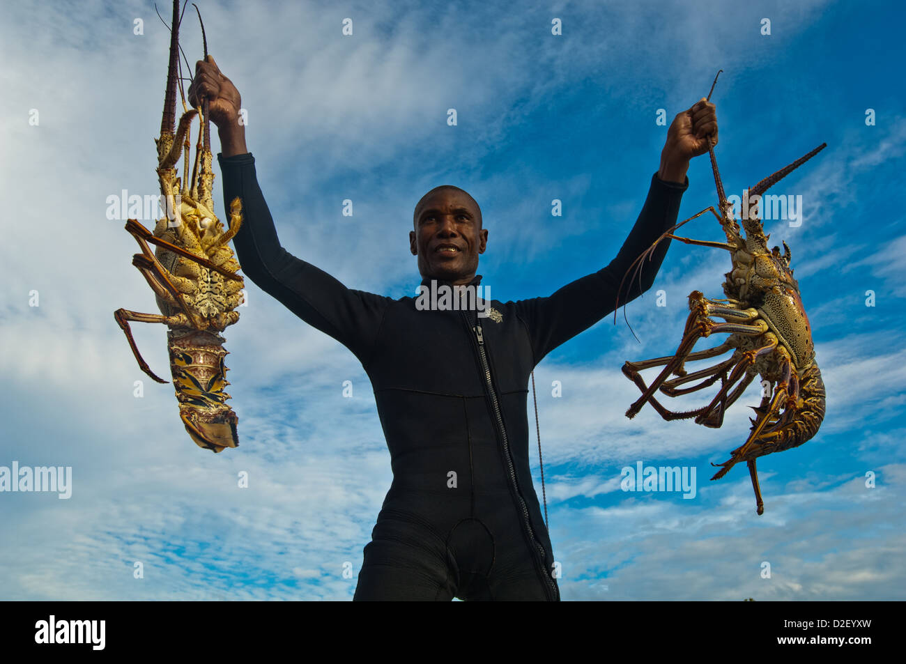 Lobster fisherman at Ragged Island Bahamas Stock Photo Alamy