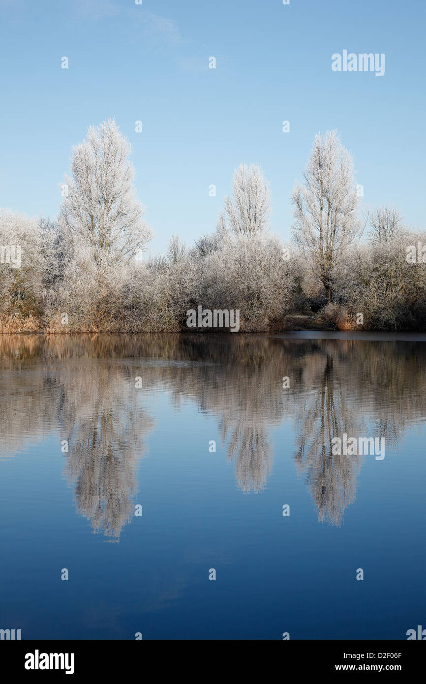 Winter lake reflections Milton Cambridgeshire Stock Photo