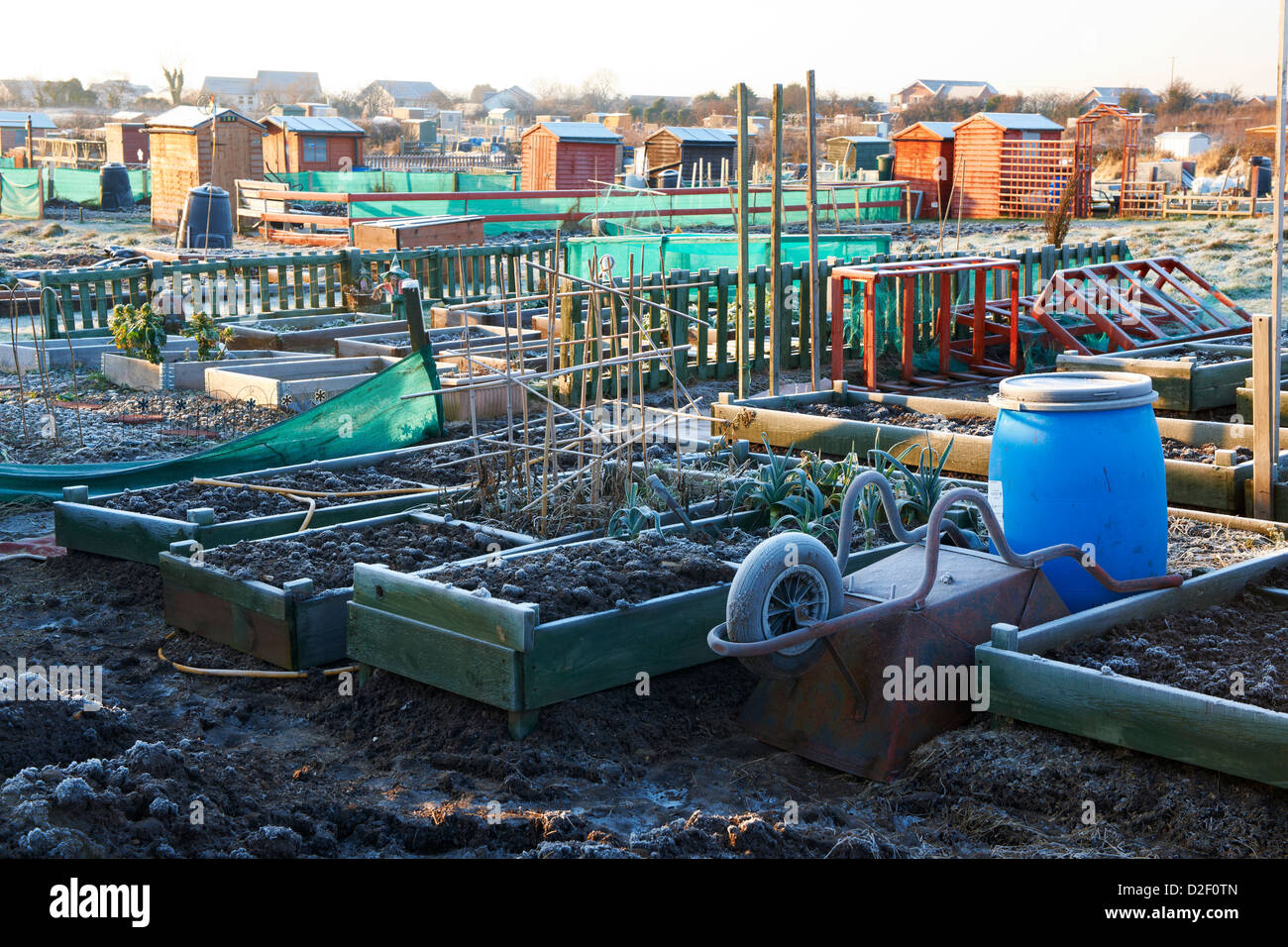 Garden allotments at Eden Village with early morning frost Stock Photo