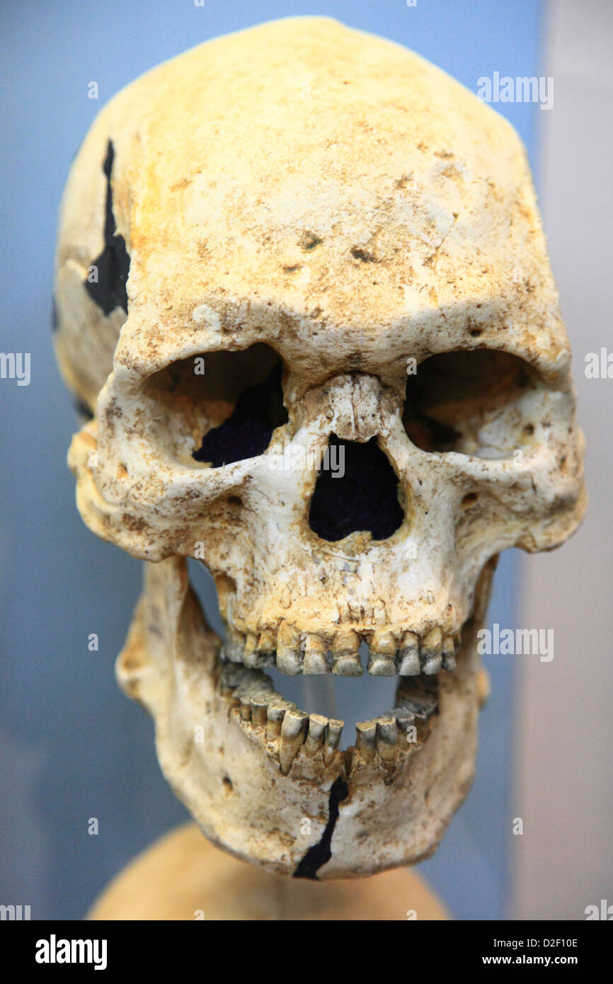 England, London, British museum. Human skull Stock Photo