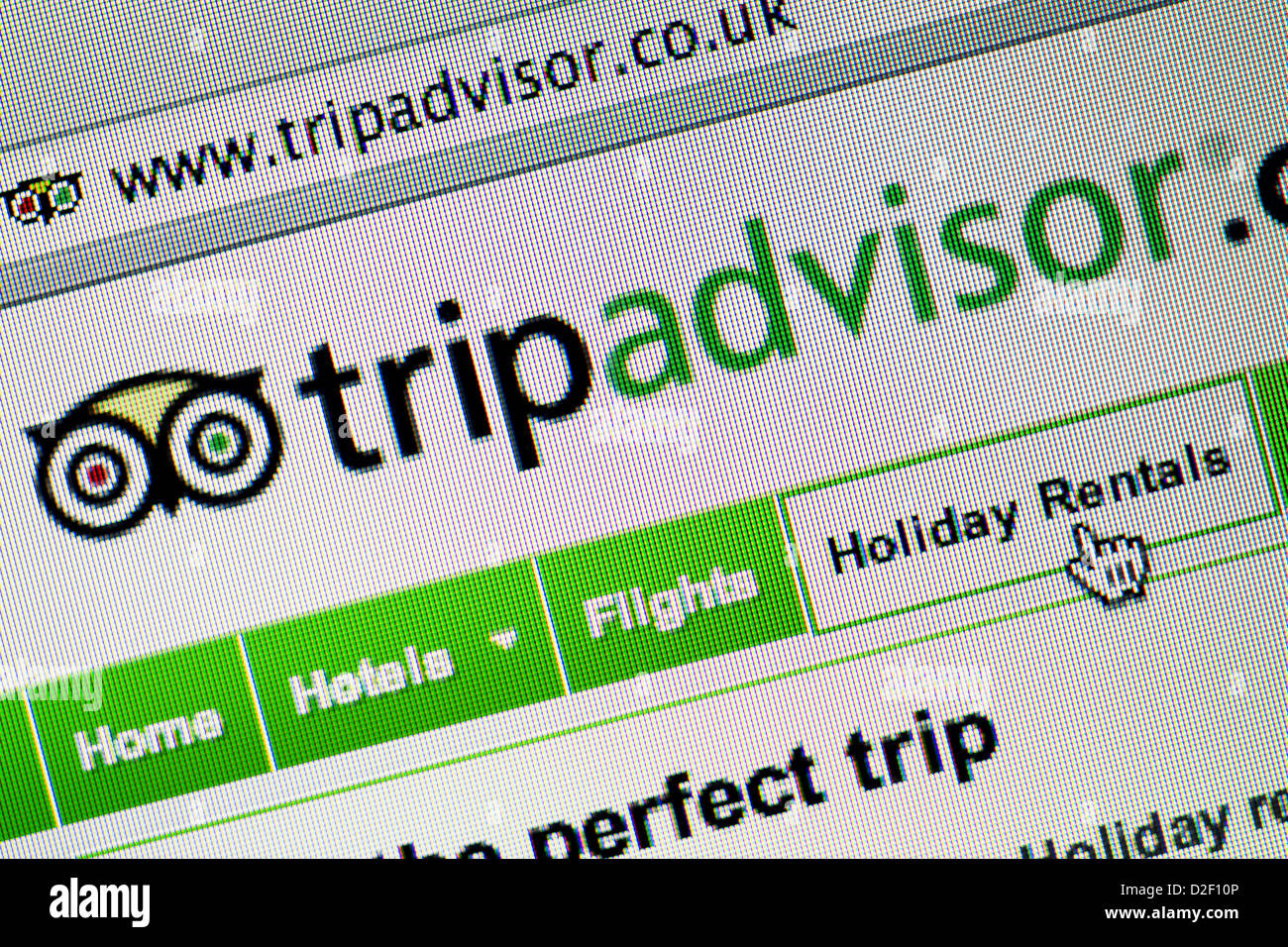 Trip Advisor logo and website close up. Stock Photo