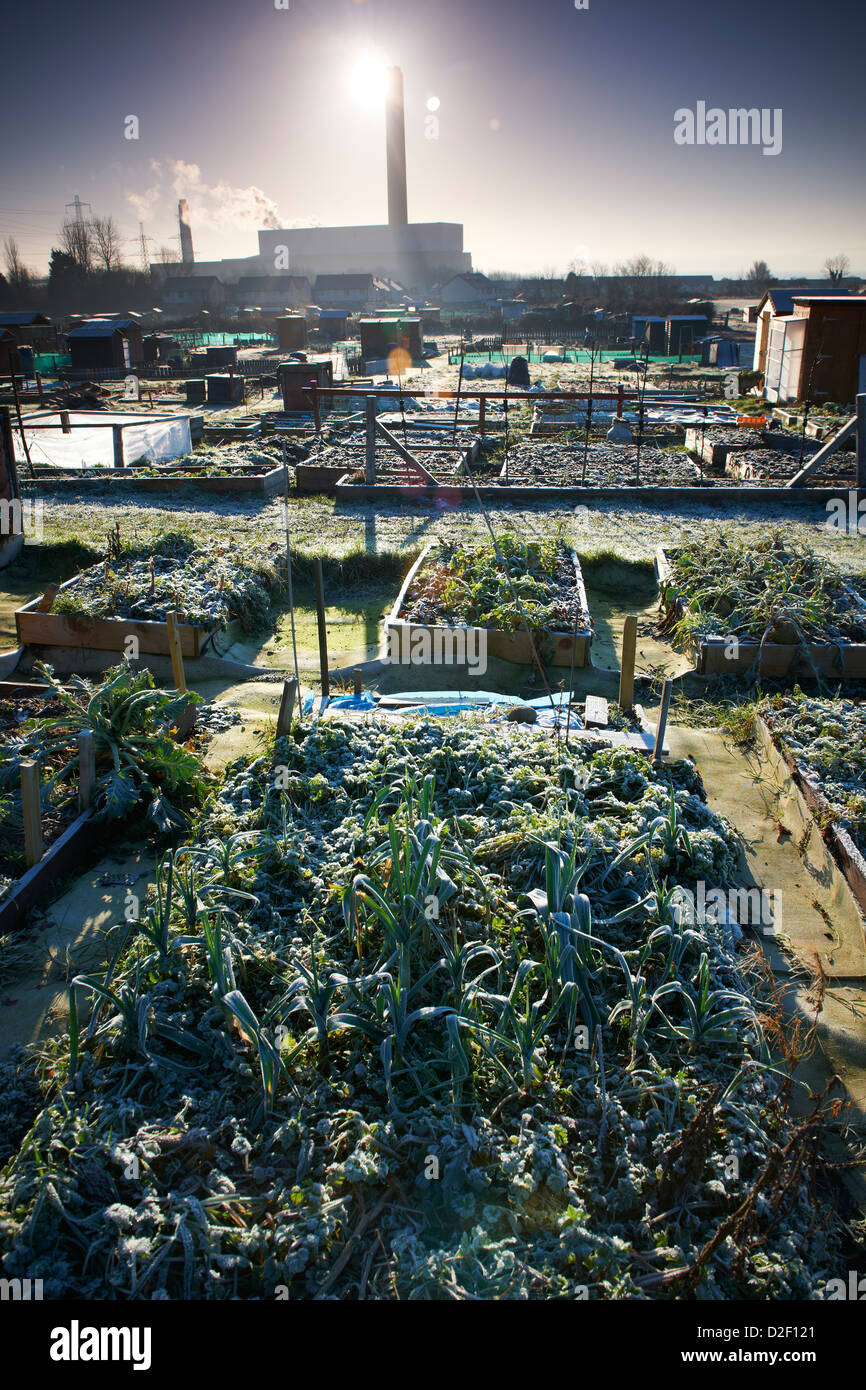 Garden allotments at Eden Village with Kilroot power station in background Stock Photo