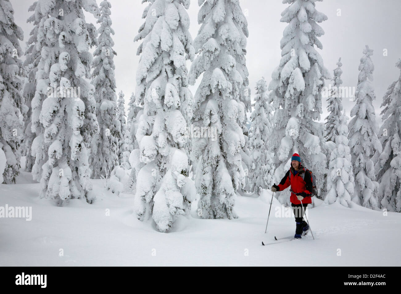 Snoqualmie pass cross country ski hires stock photography and images