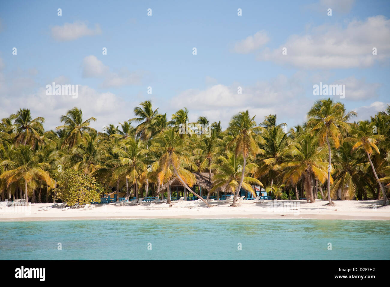 america, caribbean sea, hispaniola island, dominican republic, saona island, sea and beach with palms Stock Photo