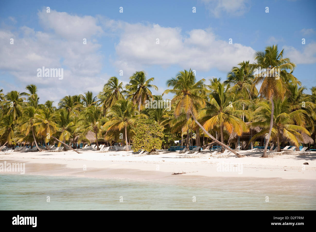 america, caribbean sea, hispaniola island, dominican republic, saona island, sea and beach with palms Stock Photo