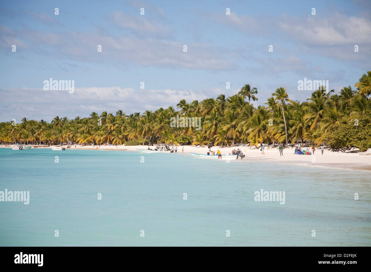 america, caribbean sea, hispaniola island, dominican republic, saona island, sea and beach with palms Stock Photo