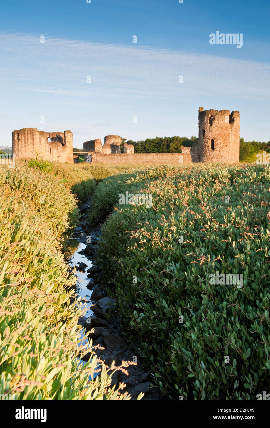 Flint Castle, Flint, Flintshire, North Wales, UK Stock Photo