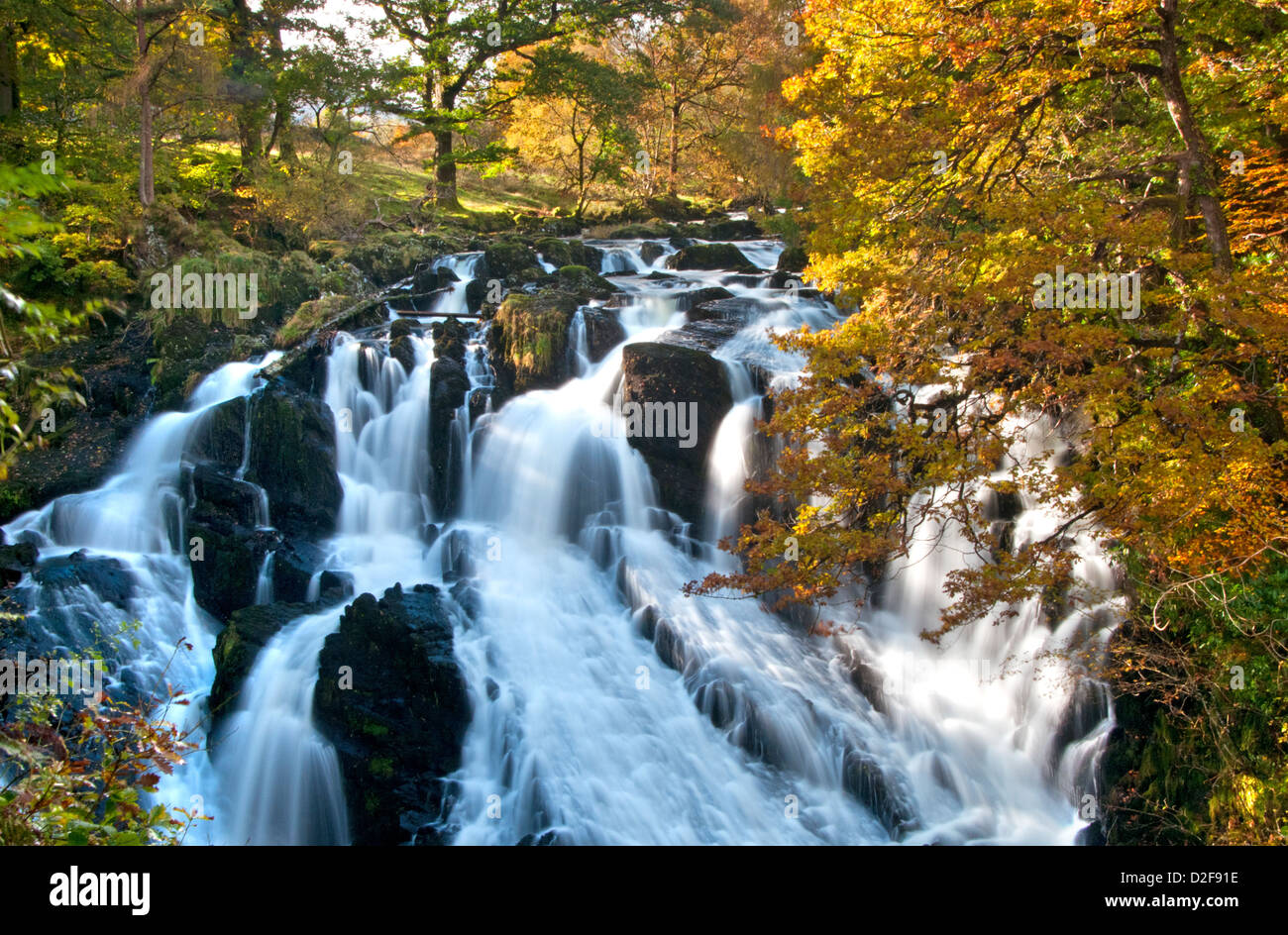 Swallow Falls in Autumn, Near Betws y Coed, Snowdonia National Park, Wales, UK Stock Photo