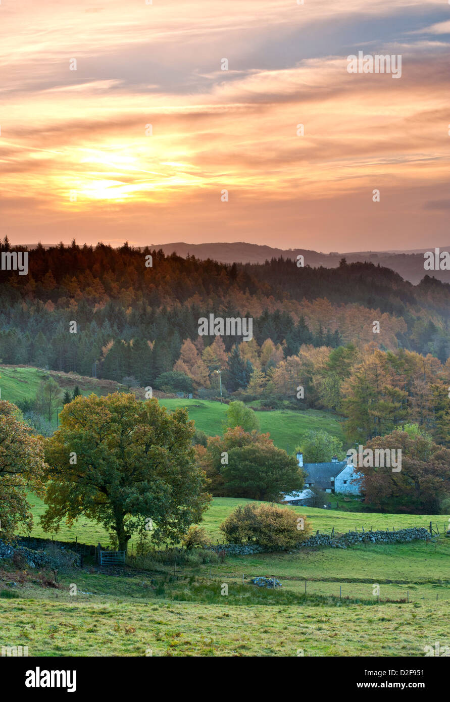 Dawn Over the Gwydyr Forest in Autumn, Near Betws-y-coed, Snowdonia National Park, North Wales, UK Stock Photo