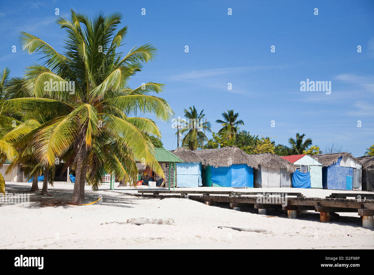 america, caribbean sea, hispaniola island, dominican republic, saona island, palms on the beach Stock Photo