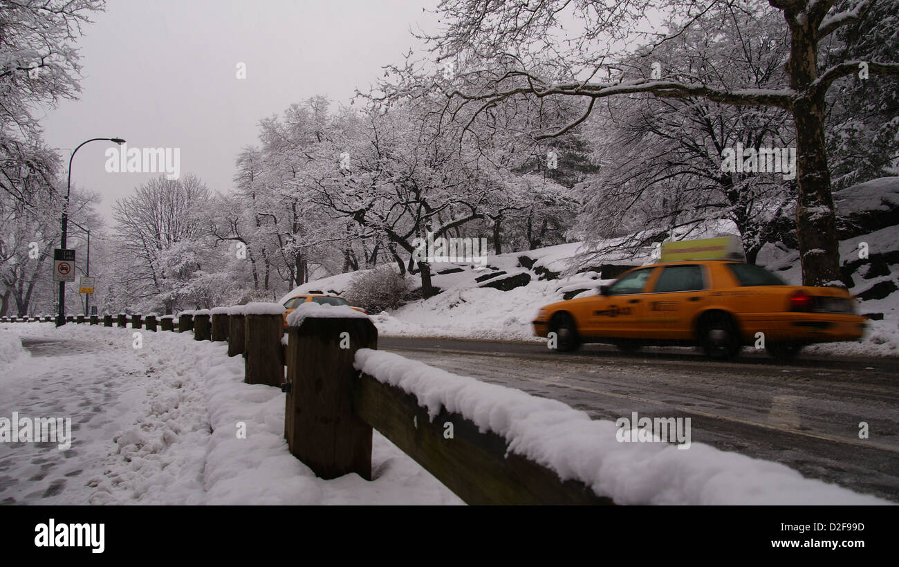 New York Stock Photo