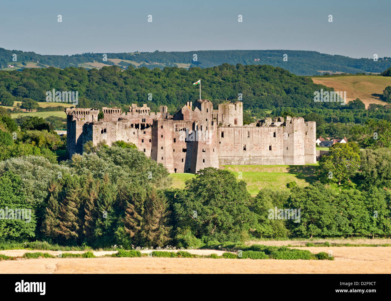 Raglan Castle in Summer, Raglan, Monmouthshire, South Wales, UK Stock Photo