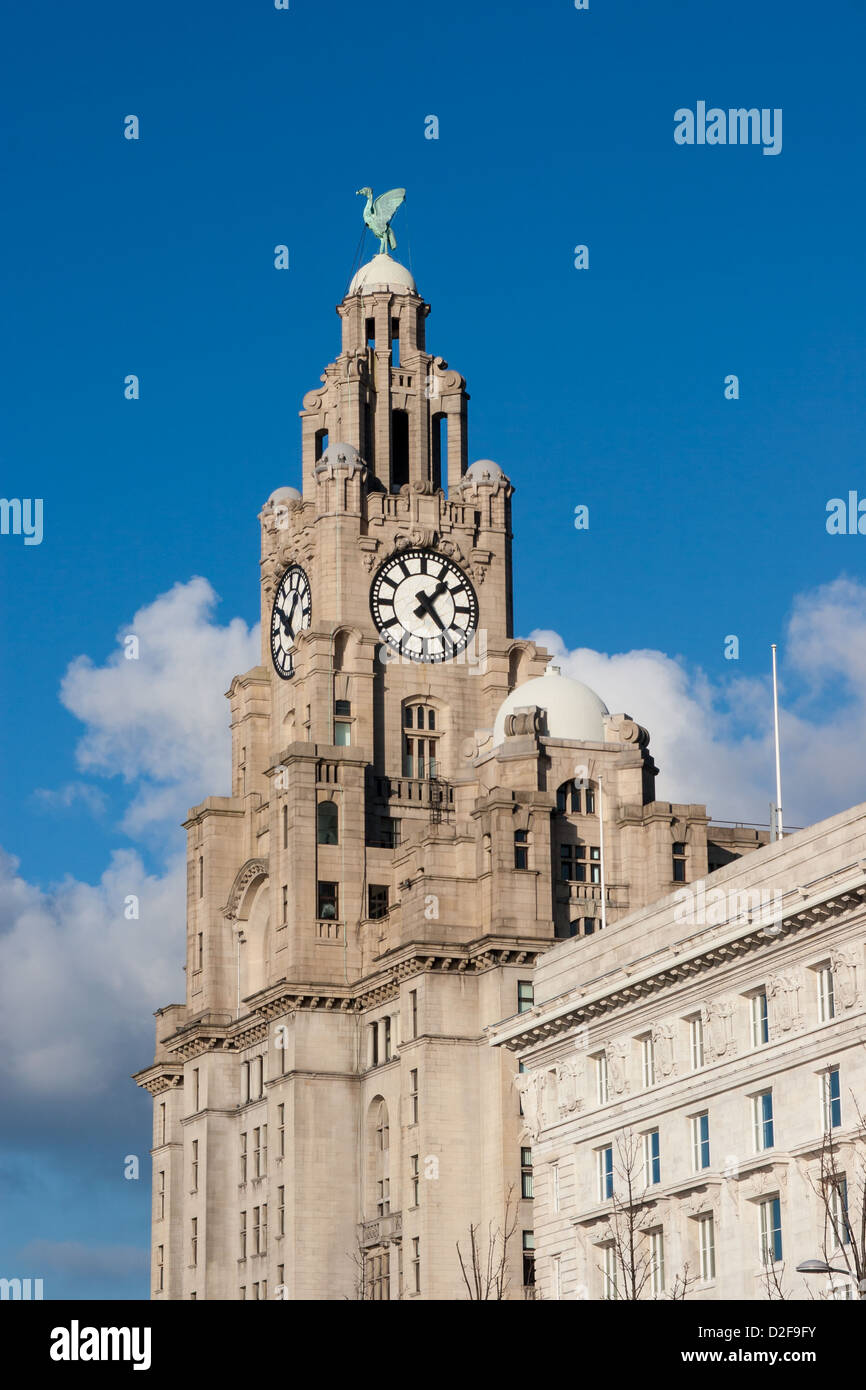 Clock face on The Royal Liver Building at Pier Head in Liverpool Stock