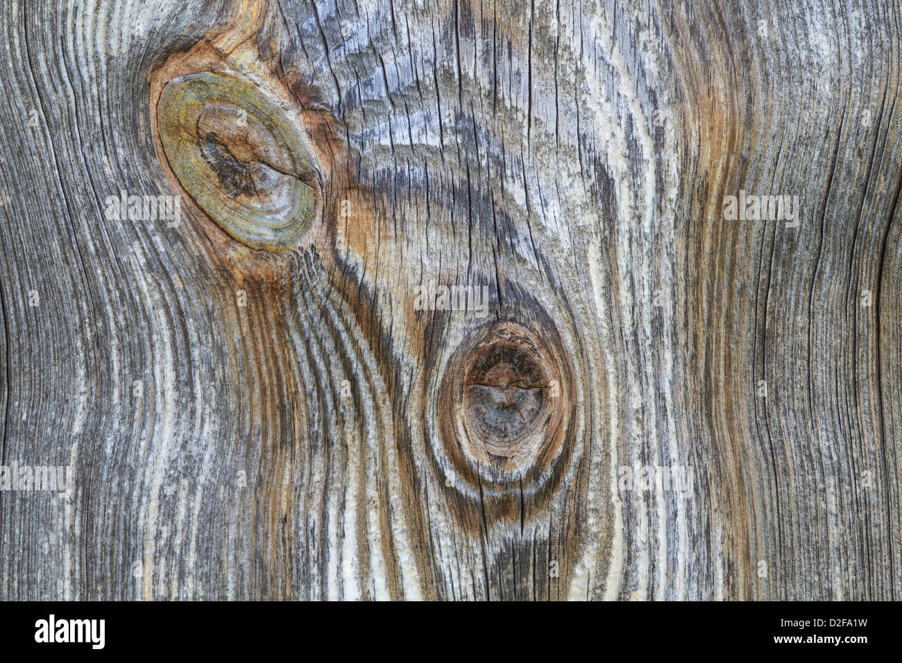 Closeup detail of wooden plank with trunk knot from old branch Stock Photo