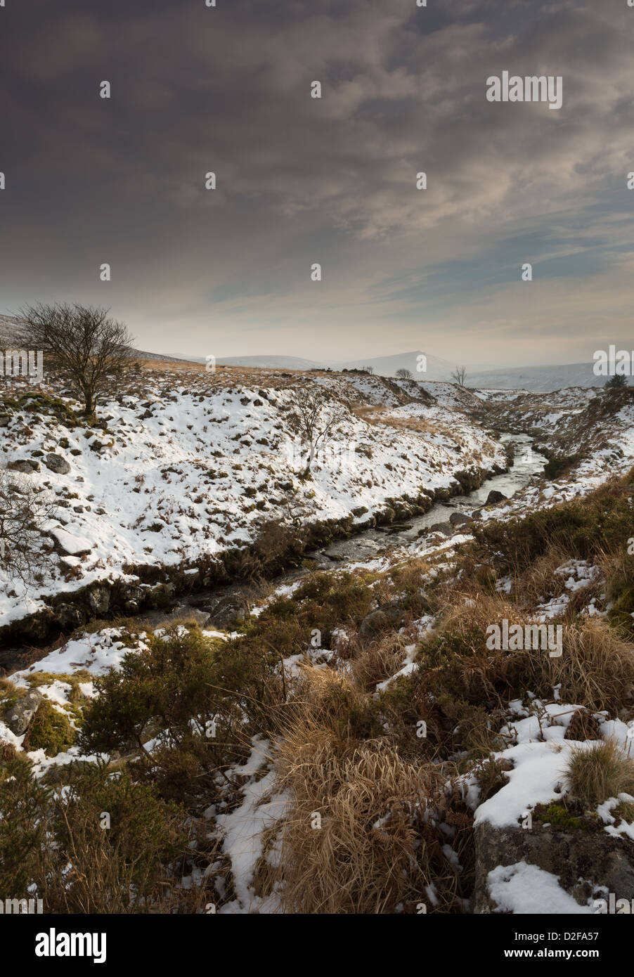 Taw Marsh Belstone with a light covering of snow in January, Dartmoor National Park Devon Uk Stock Photo