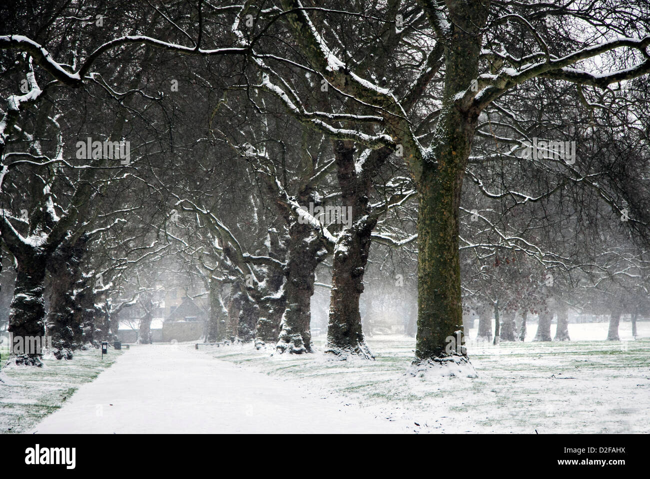 Snow and mist on scenic pathway in Southwark Park, London, England Stock Photo