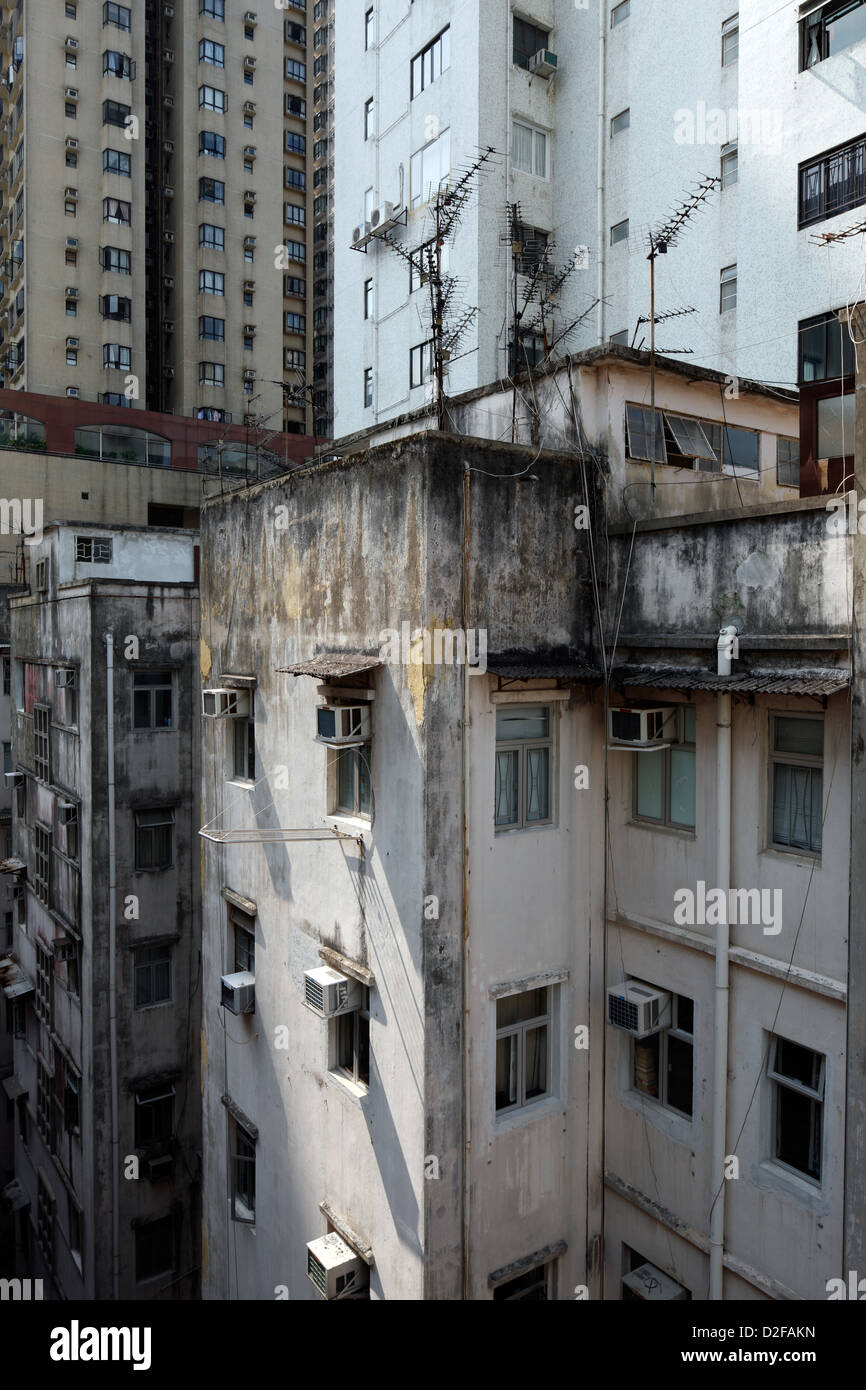 The backyard hong kong