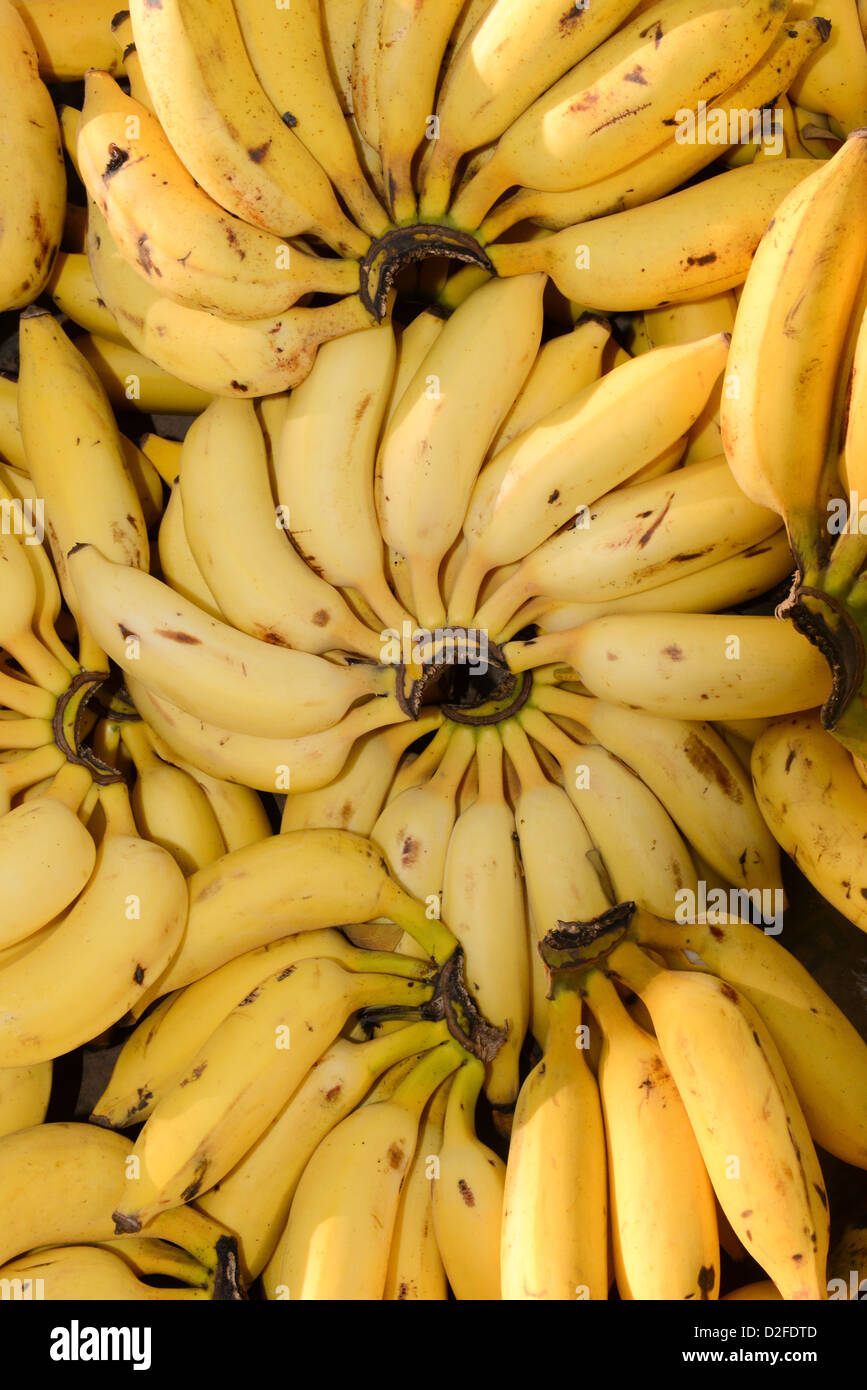 Bananas for Sale at the Market Stock Photo Alamy