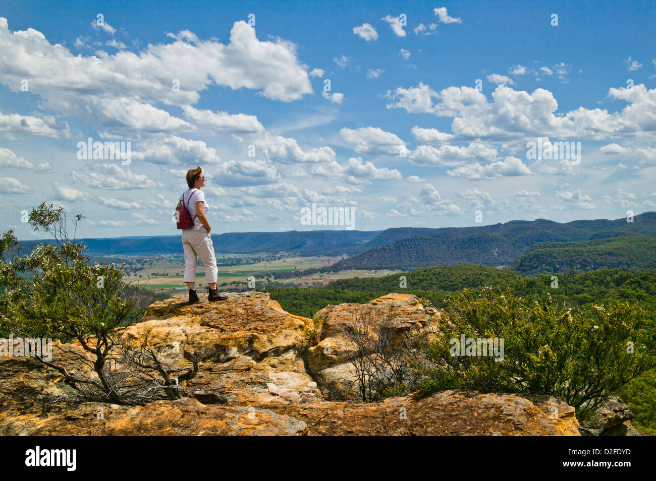Australia, NSW, The Great Dividing Range, Goulburn River National Park, Lees Pinch Lookout Stock Photo